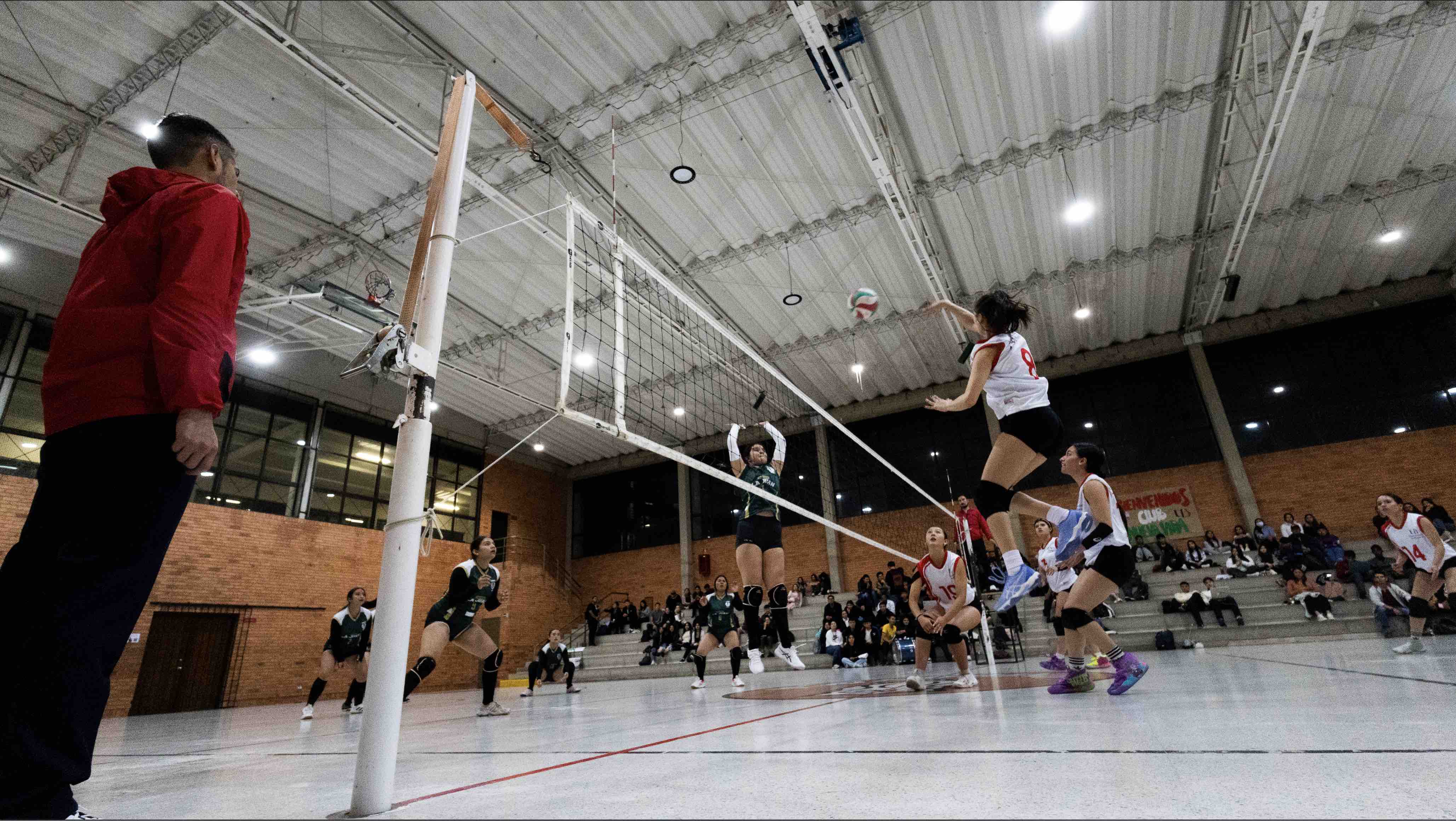 Voley
